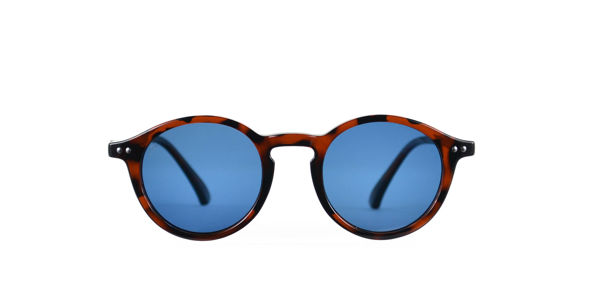 Fox kids' sunglasses - Chocolate